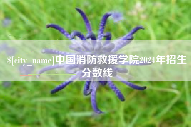 天长中国消防救援学院2024年招生分数线