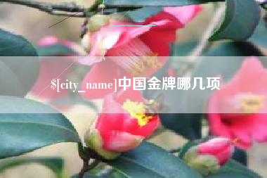天长中国金牌哪几项