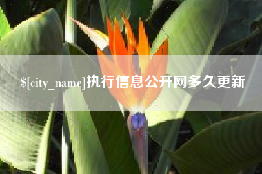 天长执行信息公开网多久更新