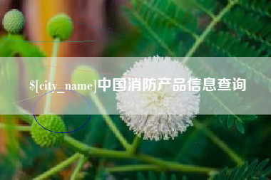 天长中国消防产品信息查询
