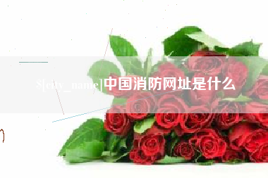 天长中国消防网址是什么