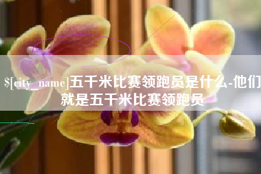 天长五千米比赛领跑员是什么-他们就是五千米比赛领跑员