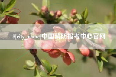 天长中国消防报考中心官网