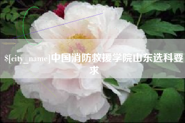 天长中国消防救援学院山东选科要求