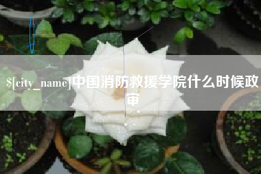 天长中国消防救援学院什么时候政审