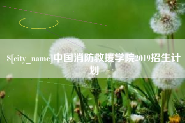 天长中国消防救援学院2019招生计划