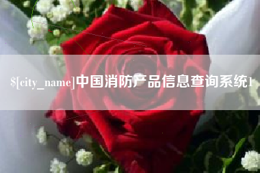天长中国消防产品信息查询系统1