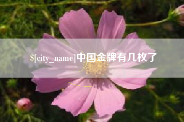 天长中国金牌有几枚了
