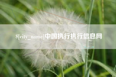 天长中国执行执行信息网