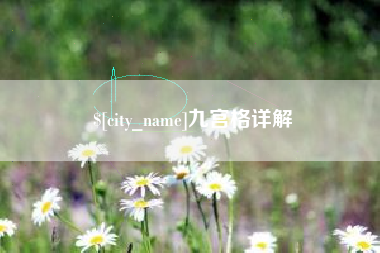 天长九宫格详解