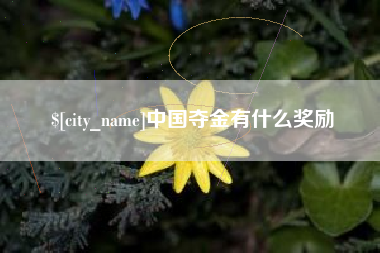 天长中国夺金有什么奖励
