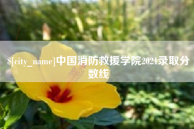 天长中国消防救援学院2021录取分数线