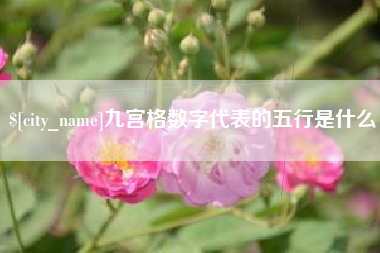天长九宫格数字代表的五行是什么