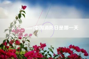 天长中国消防日是哪一天