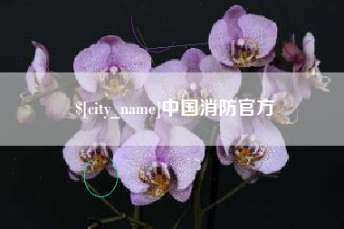 天长中国消防官方