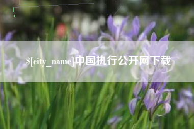 天长中国执行公开网下载