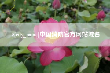 天长中国消防官方网站域名