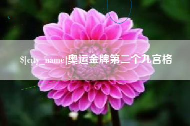 天长奥运金牌第二个九宫格