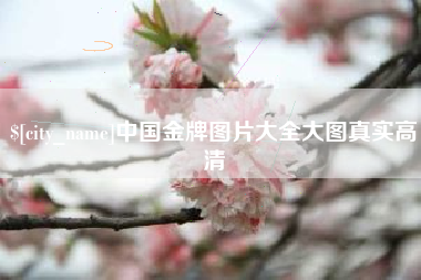 天长中国金牌图片大全大图真实高清