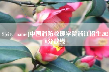 天长中国消防救援学院浙江招生2020分数线