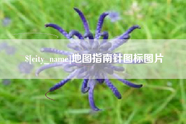 天长地图指南针图标图片