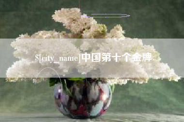 天长中国第十个金牌