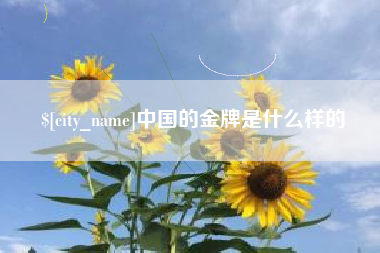 天长中国的金牌是什么样的