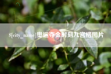 天长奥运夺金时刻九宫格图片