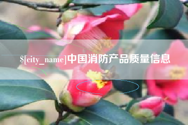 天长中国消防产品质量信息