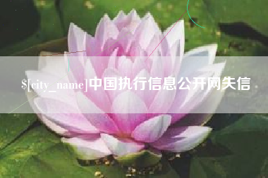天长中国执行信息公开网失信