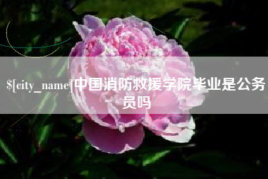 天长中国消防救援学院毕业是公务员吗