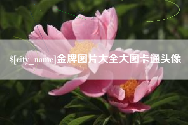天长金牌图片大全大图卡通头像