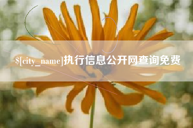 天长执行信息公开网查询免费