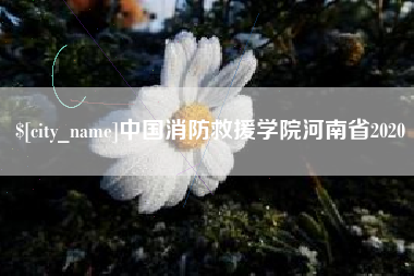 天长中国消防救援学院河南省2020
